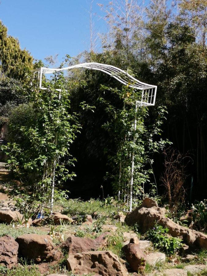Lucolo Palace B&B Aliwal North Eksteriør billede